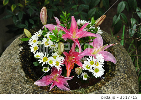 蹲いに生け花 蹲いに生け花 3517715