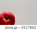 りんご4 3517802