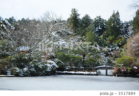 京都　龍安寺　雪の鏡容池 3517884