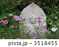 お地蔵さんとコスモス 3518455