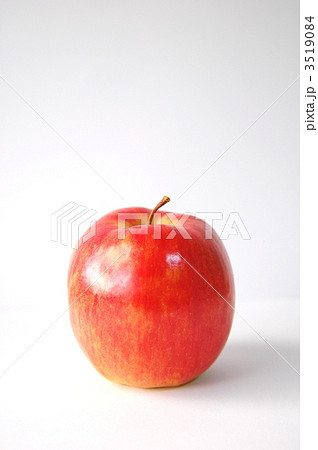 3519084