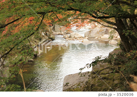 小戸名渓谷 小戸名渓谷 3520036