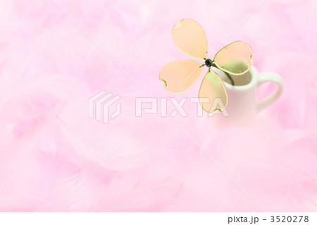 羽根と四ツ葉のクローバー 3520278