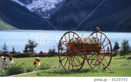 カナディアンロッキー カナディアンロッキー 3520755