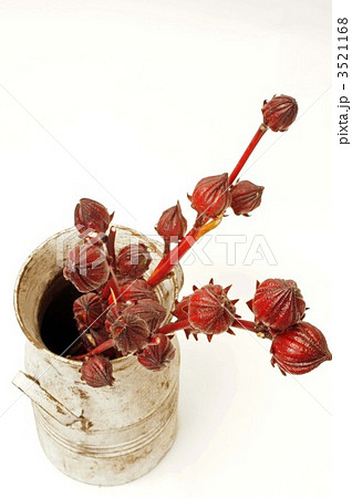 べにあおい 3521168