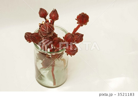 べにあおい 3521183