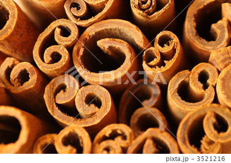 シナモン シナモン 3521216