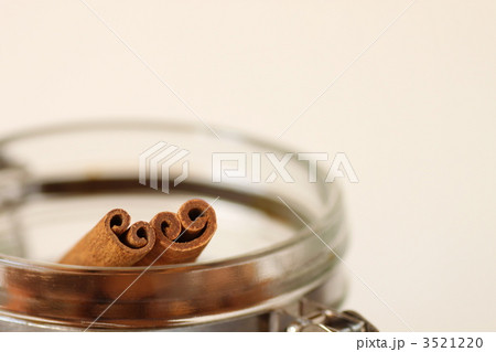 シナモン シナモン 3521220