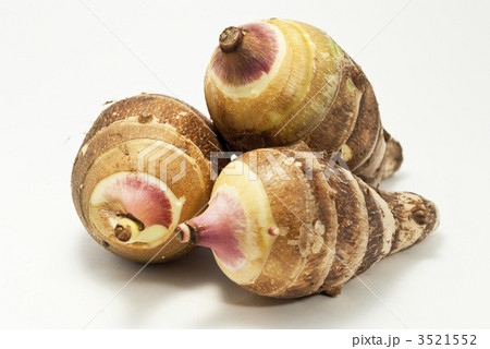 海老芋 海老芋 3521552