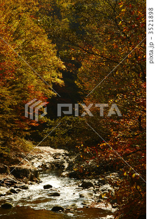 渓流の秋 3521898