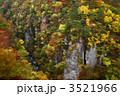 錦秋の渓谷 3521966
