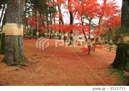 牡丹園 牡丹園 3522751