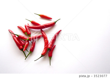 フレッシュチリ 3523077