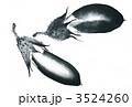 3524260