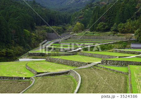 竹地区の棚田 3524386