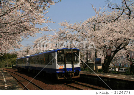 桜と列車 3524773