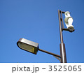 はっさく26 3525065