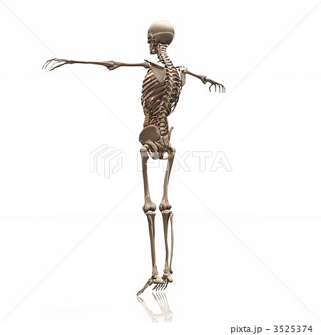 3525374