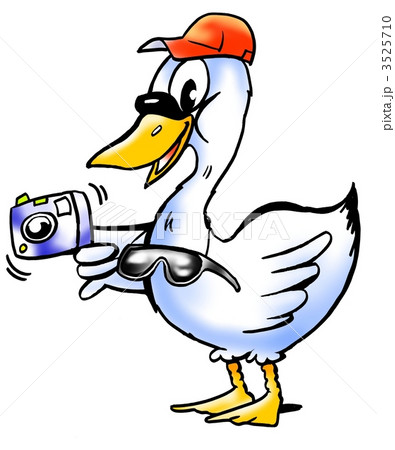 Swan with a camera and a red cap on his head 3525710