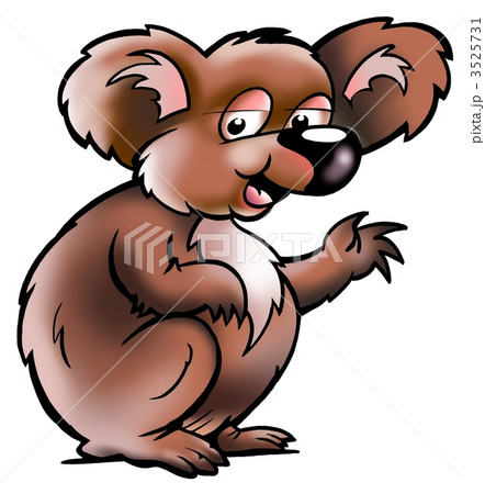 Koala Bear with big brown ears Koala Bear with big brown ears 3525731