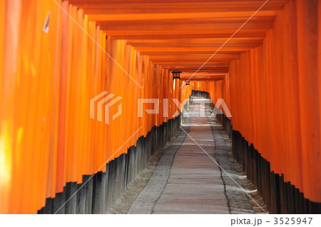 千本鳥居 3525947