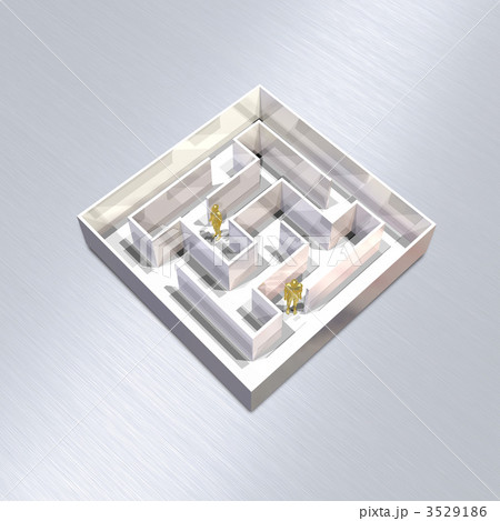 迷路を歩く男女 3529186