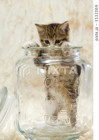 ゴン太とガラス瓶 3532069