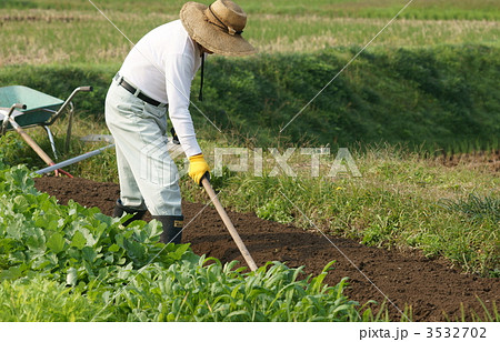 畑仕事をする男性 畑仕事をする男性 3532702