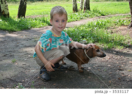 boy with badgerdog boy with badgerdog 3533117
