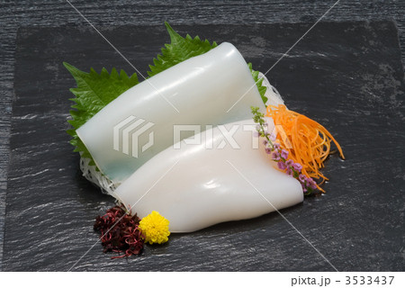 イカ イカ 3533437