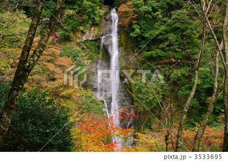 栴檀(せんだん)轟の滝 栴檀(せんだん)轟の滝 3533695