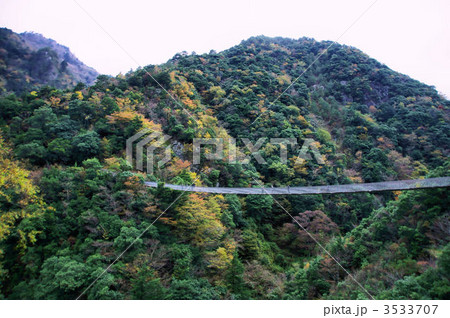 梅の木轟の吊り橋 3533707