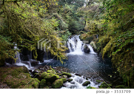 菊池水源　秋景色 3533709