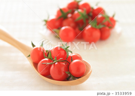 マイクロトマト 3533959
