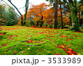 紅葉の宝厳院 3533989