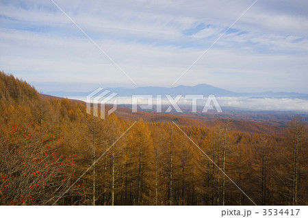 紅葉の佐久高原 3534417