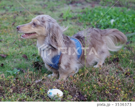 はぁ～♪ 3536373