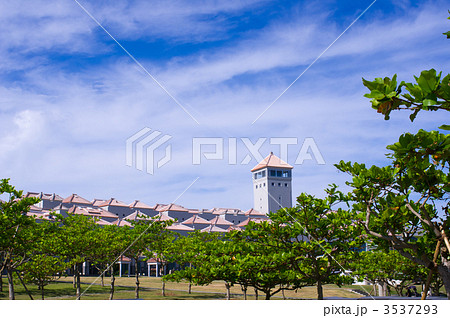 沖縄平和祈念公園 沖縄平和祈念公園 3537293