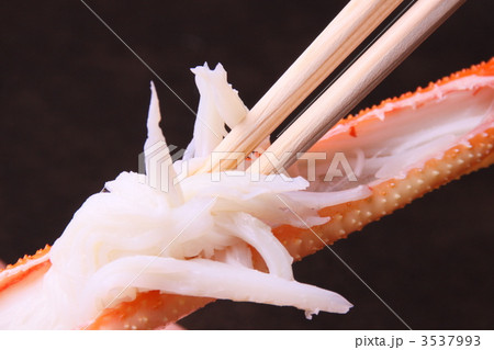 かに　蟹　松葉ガニ 3537993