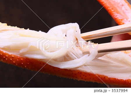 蟹 松葉がに ズワイガニ 蟹 松葉がに ズワイガニ 3537994