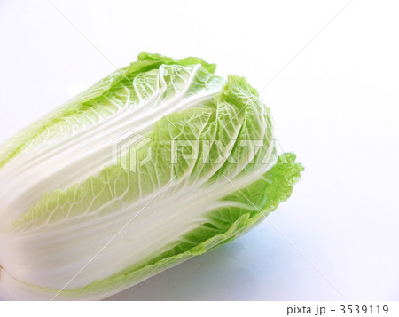白菜 3539119