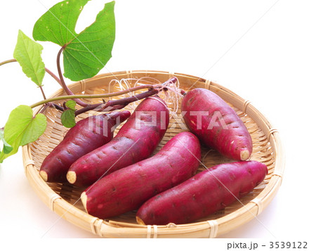 さつまいも さつまいも 3539122