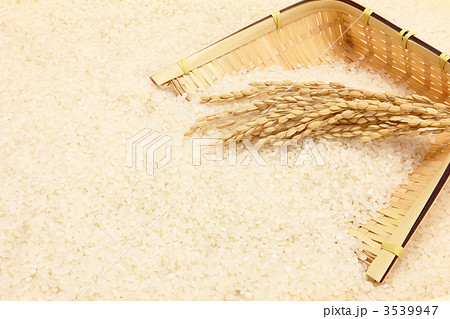 竹みと米 竹みと米 3539947