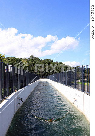 吉野川の水を香川県に導く「香川用水」東部幹線水路 吉野川の水を香川県に導く「香川用水」東部幹線水路 3540455