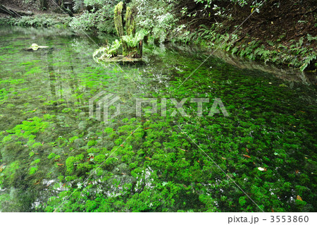 池山水源 3553860