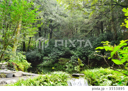 池山水源 池山水源 3553895