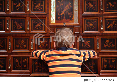 Luxury wooden case with inlaid boxes and boy from back 3555923