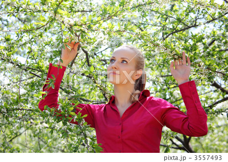 beautiful blonde in blossoming garden in spring beautiful blonde in blossoming garden in spring 3557493