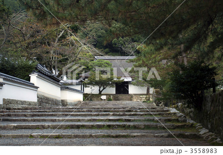 南禅寺　南禅僧堂　僧堂北塀 3558983