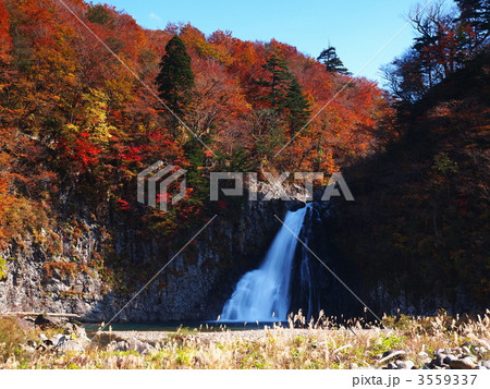 紅葉の法体の滝 3559337